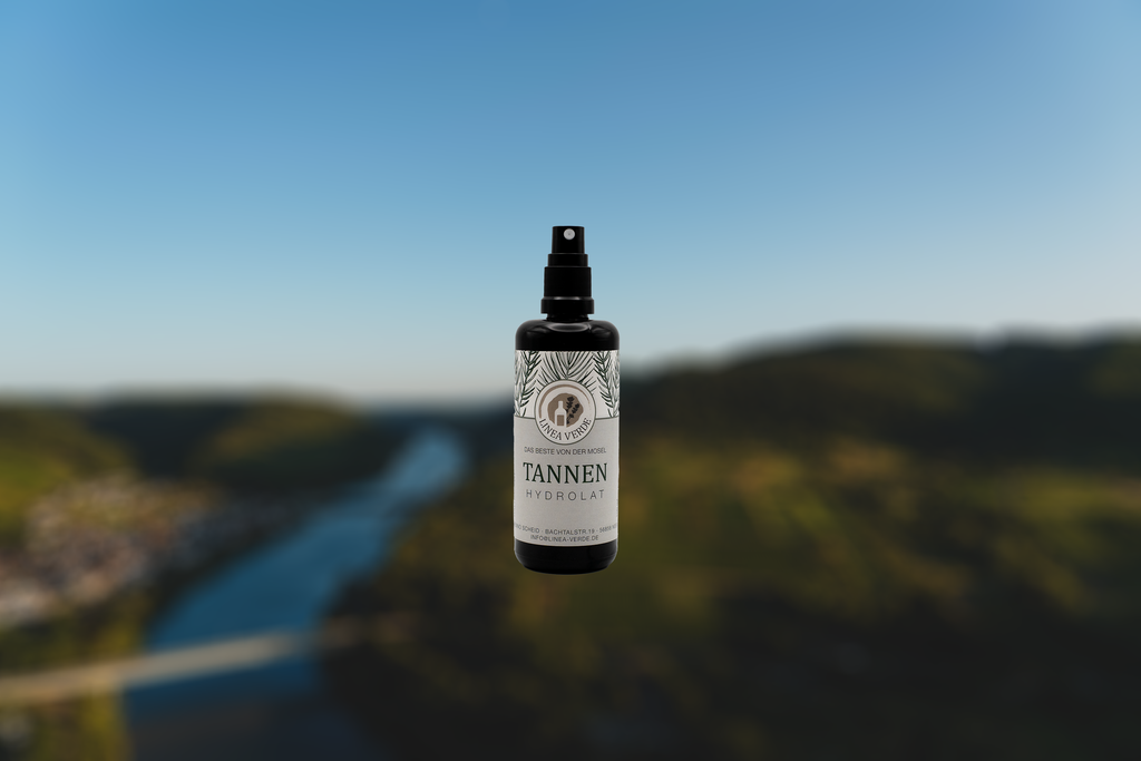 Tannenhydrolat