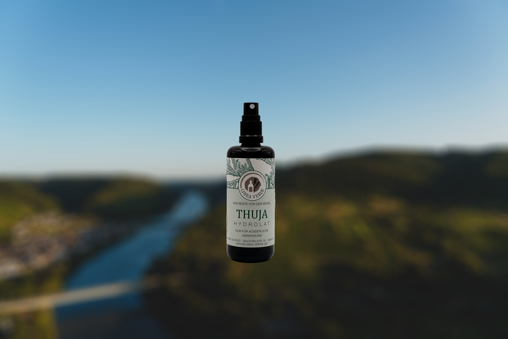 Thujahydrolat